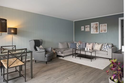 Painted living room interior — recent project 3